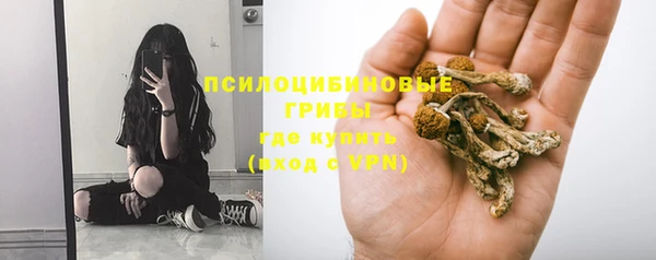 не бодяженный Абаза
