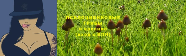 не бодяженный Абаза