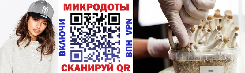 Псилоцибиновые грибы MAGIC MUSHROOMS Кисловодск